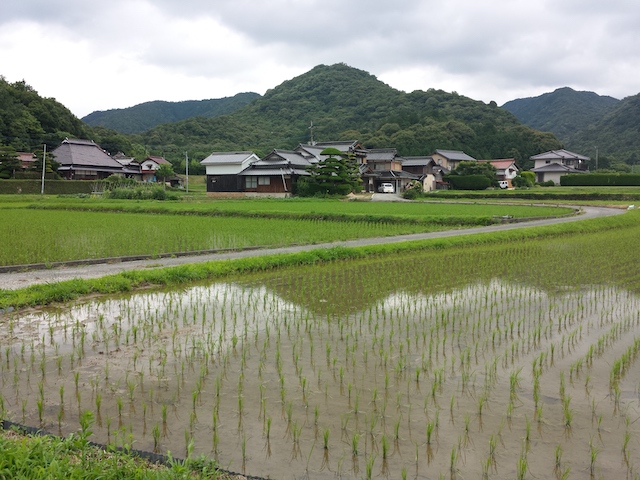 ファイル:20150701 143533.jpg