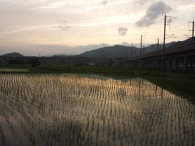 ファイル:20150701 191605.jpg