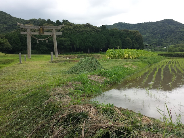 ファイル:20150701 144255.jpg