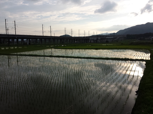 ファイル:20150701 182653.jpg