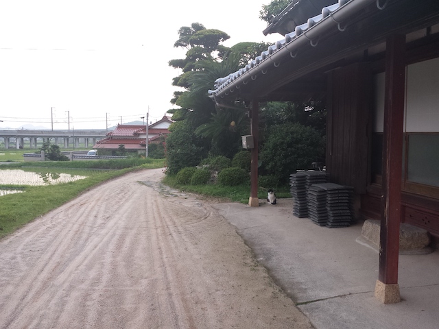 ファイル:20150701 191921.jpg