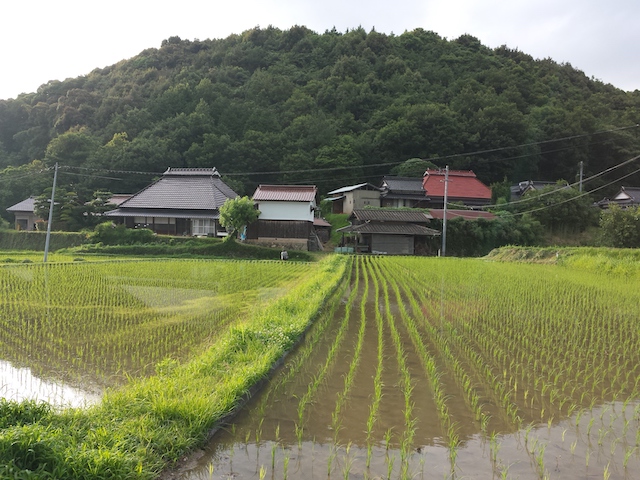 ファイル:20150701 181042.jpg