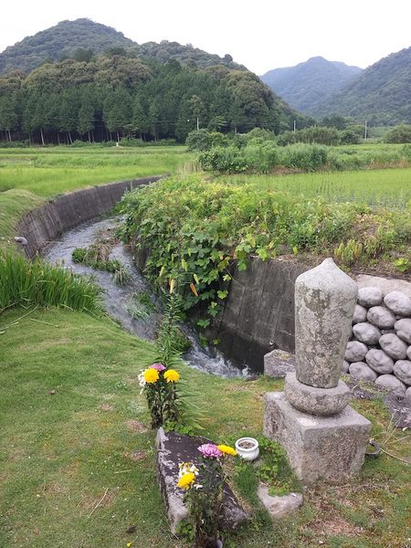 ファイル:20150701 175721.jpg