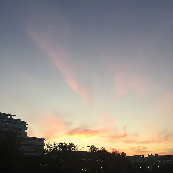 ファイル:IMG 5881.jpg