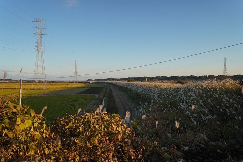 ファイル:Registration 002 kitanemoto4.jpg