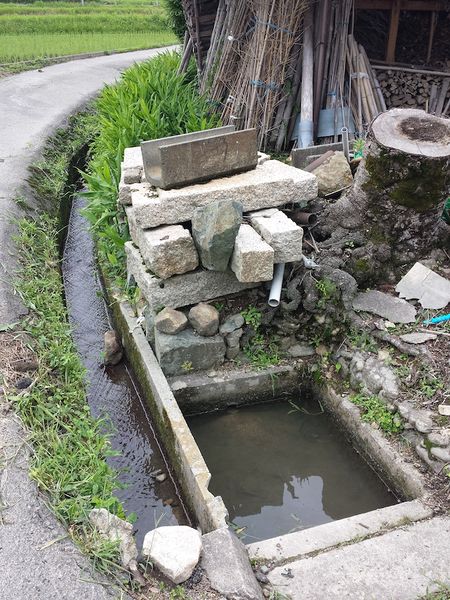 ファイル:20150701 144125.jpg